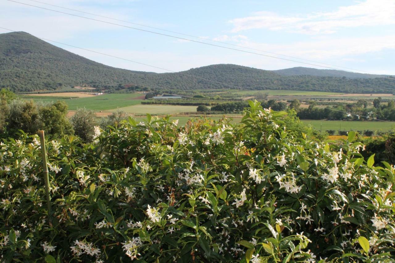 Agriturismo Podere Montenero ألبيريزي المظهر الخارجي الصورة